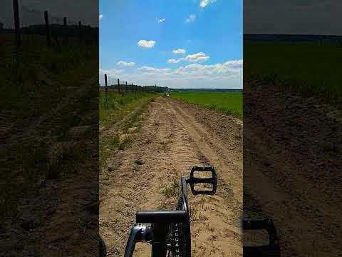 #shorts #cerebralpalsy #rower #rowerelektryczny