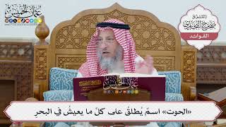 [47] «الحوت» اسمٌ يُطلقُ على كلِّ ما يعيشُ في البحرِ - عثمان الخميس