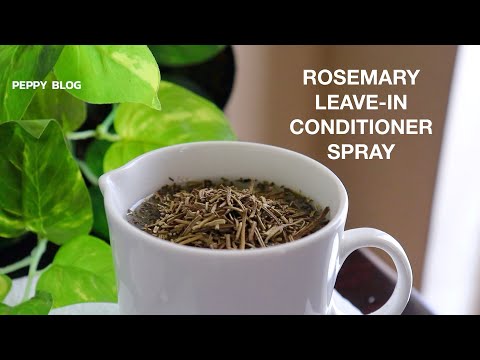 DIY Leave-In Conditioner | Green Tea Hair Spray - Peppy Blog DIY Leave-In Conditioner | Green Tea Hair Spray - Peppy Blog