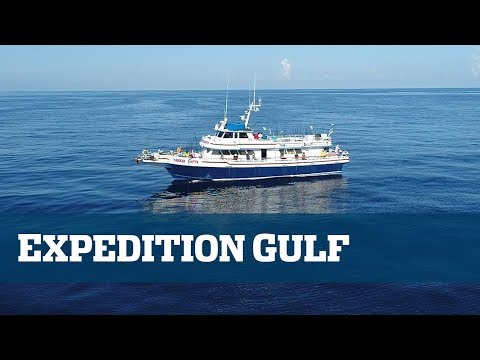 Yankee Capts Fishing