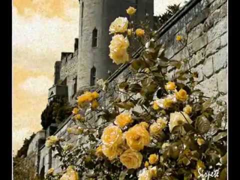 PAVOL HAMMEL - V záhrade ružového zámku.avi