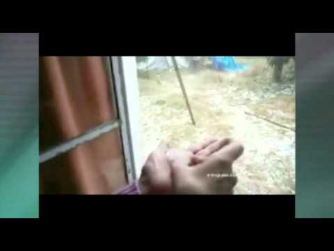 Impresionante granizada azotó Treinta y Tres sin previo aviso