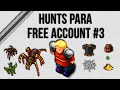 |Tibia| - Hunts Para Free Account #3 - POH e Aranha ...