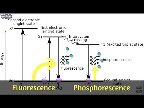 Basics and principle of Fluorescence & Phosphorescence measurement | Learn under 5 min | AI 06 Video