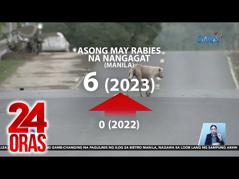 24 Oras Part 2: Banta ng rabies; lider ng Qatar sa Pilipinas; mag-lolang nasawi sa sunog;…, atbp.