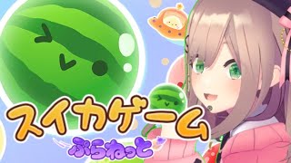 【スイカゲームぷらねっと】すいかとすいか！！！！！【にじさんじ/鈴原るる】