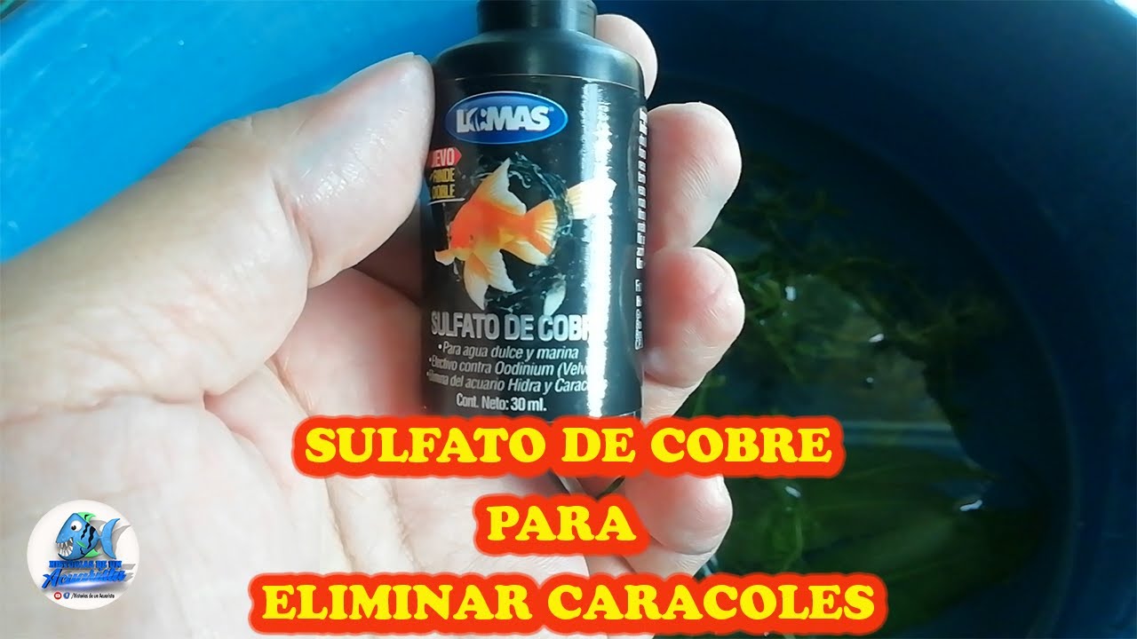 Sulfato de Cobre para Eliminar Caracoles