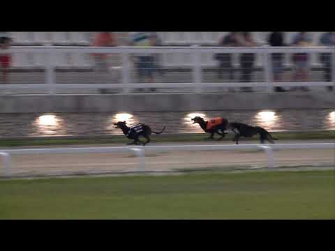 2020.06.26. 02. futam - Nyári Nagydíj Sprint S1