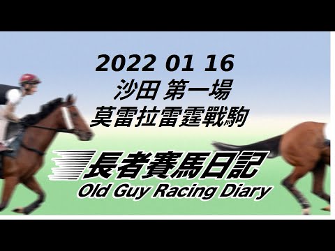 2022 01 16 沙田 第一場 雷霆戰駒 莫雷拉