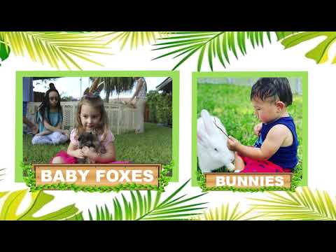 Hire Exotic Animal Parties - Petting Zoo in Fort Lauderdale, Florida Hire Exotic Animal Parties - Petting Zoo in Fort Lauderdale, Florida