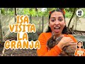 Aprende Con Isa Los Animales De La Granja Isa Visita Tinez Farms Toddler Learning
