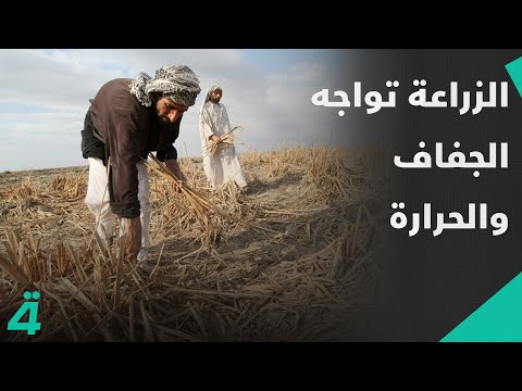 فيديو | عطلة مدرسية خلال الانتخابات النيابية .. الزراعة تواجه الجفاف والحرارة | اول النهار