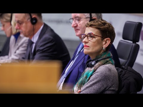 Chivite reclama “actuaciones valientes” con objeto de avanzar en una industria europea de automoción competitiva