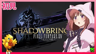 【 FF14 】 初見 　漆黒のヴィランズ 　ノアの仲間たち　メインストーリー　Ver.5.4　ファイナルファンタジーXIV  FINAL FANTASY XIV　26.1.20　ネタバレあり