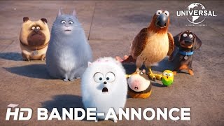 Bande-annonce (VF)