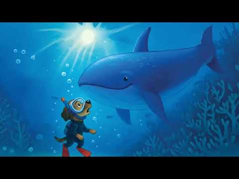 Priča o radoznalosti i hrabrosti