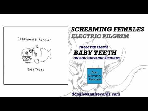 Video thumbnail for Electric Pilgrim