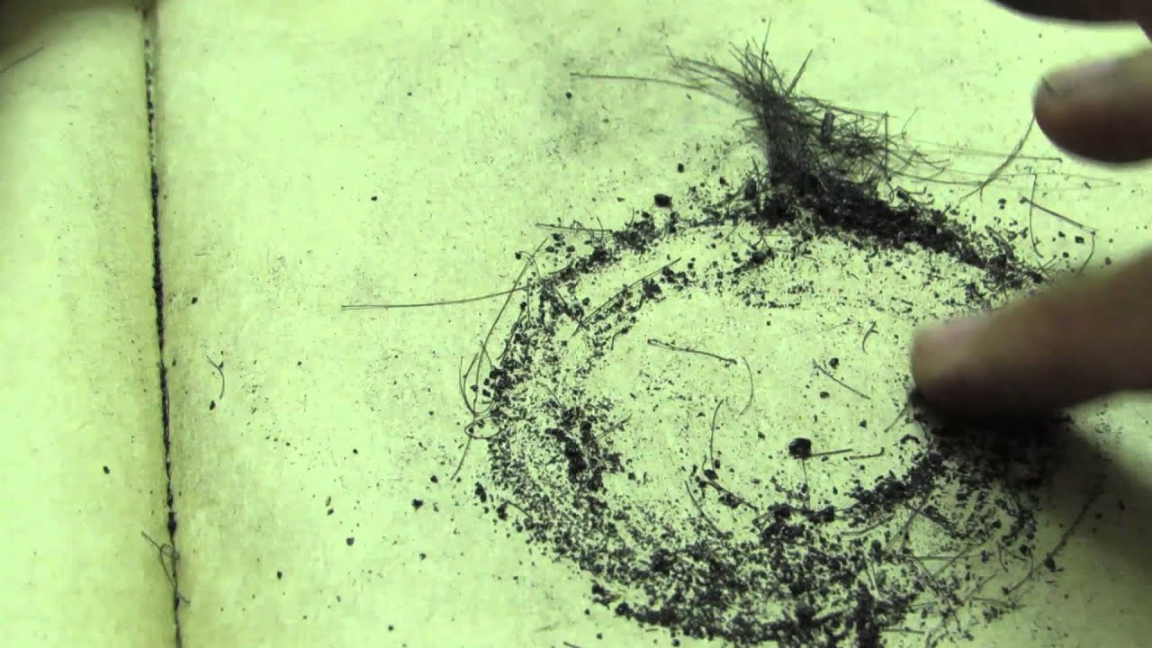 circles nhathuyenOct