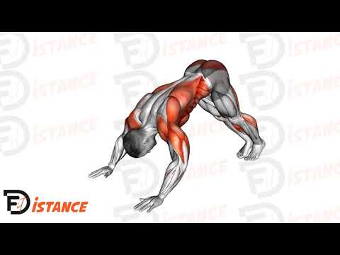 Exercice Pompes hindoues (indiennes)