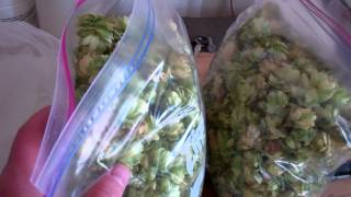 Homegrown Fuggles IPA (Home Brewing)