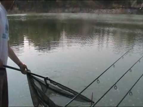 Carpfishing alla cava di Rimini