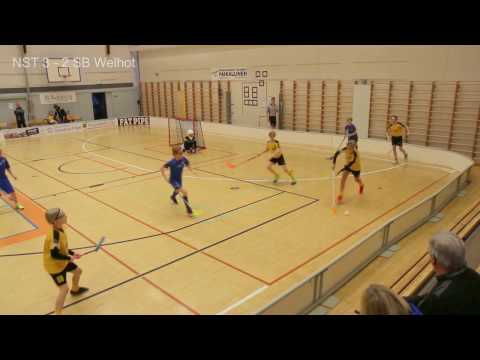 2017-01-15 Maalikooste NST D2 (-04) - SB Welhot Stars @Pieksämäen urheilutalo