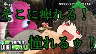 【ゆっくり実況ルイージUデラックス】駆け抜けろ！古明地ブラザーズU part3