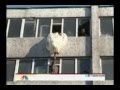 Suicide Attempt By Jilted Bride (Video) 