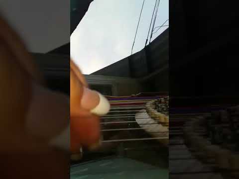 De guindar mejor caer