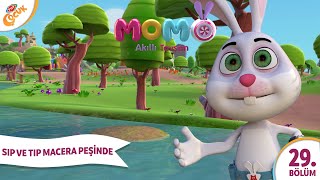 4. Bölüm - ŞIP VE TIP MACERA PEŞİNDE