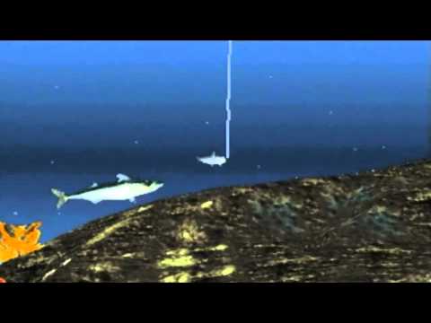 Team Hobnob Let's Play - Reel Fishing II - Episode 1: Variety Ocean Fishing