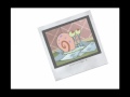 SPONGEBOB Mp4