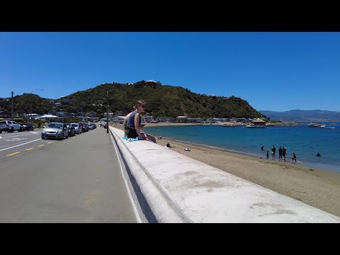 (4k) Summer walk. MacAlister Park - Island Bay Beach, Wellington, New Zealand | December 2021.