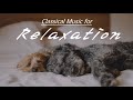 [NO ADS, 2 HOURS] Classical Music for Relaxation | Beethoven, Mozart, Bach, Tchaikovsky, Vivaldi…