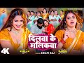 Video Dilwa Ke Malikawa दिलवा के मलिकवा Ft Neelam Giri Bhojpuri New Song S