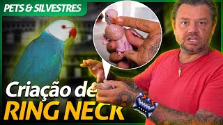 Miniatura do vídeo