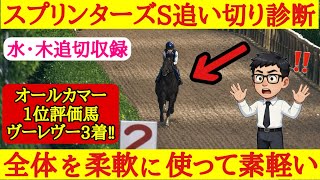 【スプリンターズステークス2026】最終追い切り診断！1位評価は体全体を柔軟に使ってスイスイと走れていたあの穴馬！