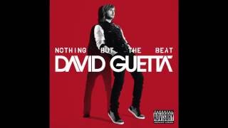 David Guetta - Where Them Girls At (Audio)