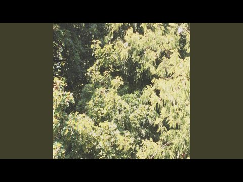 Eye Of Prima - Sadness