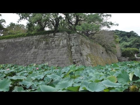 Tsurumaru (Kagoshima) Castle