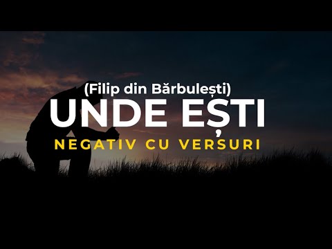 Negativ - UNDE ESTI? - Filip din Barbulesti Original  
