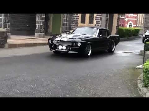 Our Eleanor GT500 & Shelby GT350H Convertible Mustangs