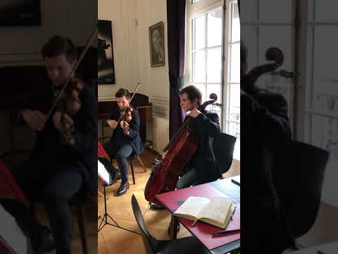 Le Concert Fantastique interprète "I Will Survive" de Gloria Gaynor