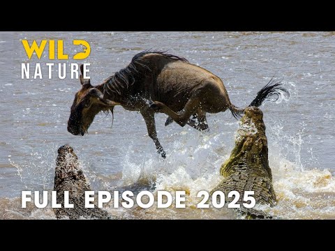 Conquering the Zambezi River's Most DANGEROUS Activities