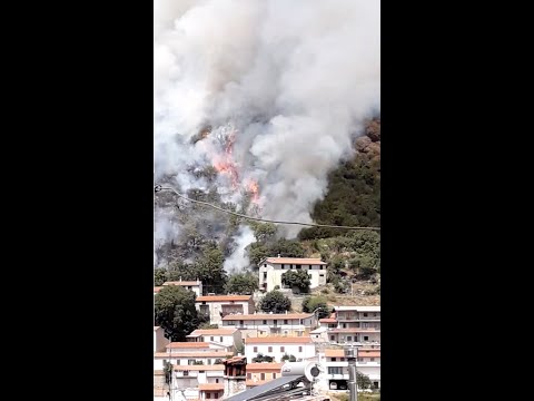 Pauroso incendio a Burgos: le fiamme lambiscono le case