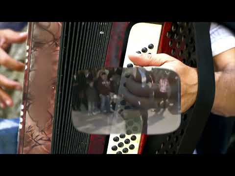 Los Gavilanes Del Norte "Frijolitos Pintos"