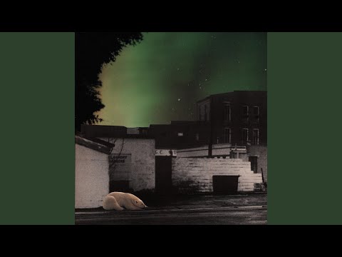 In The Flow - The Thermals