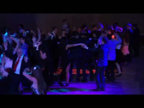 Novoroční ples 2017 / IV