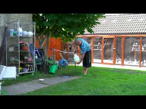 Bugała Piotr - before the flight 738 km - Sulingen - First marathon!