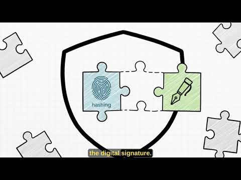 The difference between Hashing, Digital signature, Asymmetric and Symmetric Encryption techniques